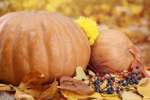 pumpkins and autumn leaves, on yellow background - Foto, afbeelding