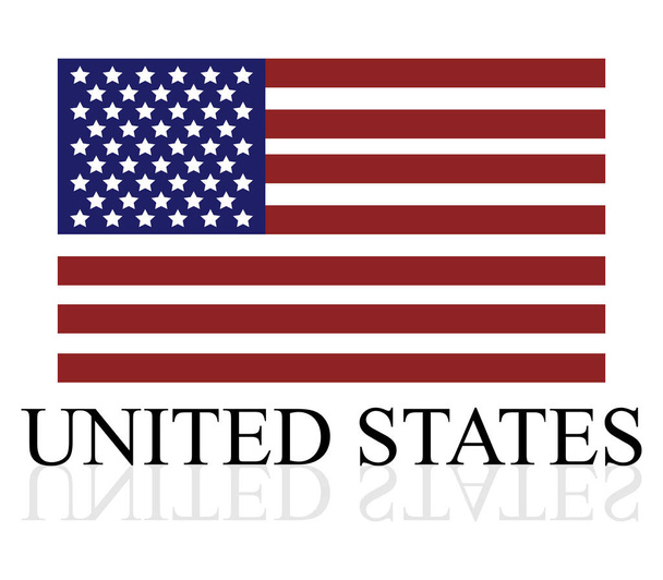 united states flag on white background - Vektor, obrázek