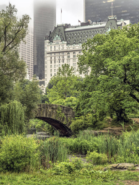 Gapstow Bridge is one of the icons of Central Park, Manhattan in New York City - Φωτογραφία, εικόνα