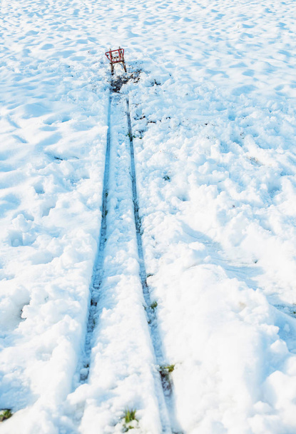 rode slee in de sneeuw - Foto, afbeelding