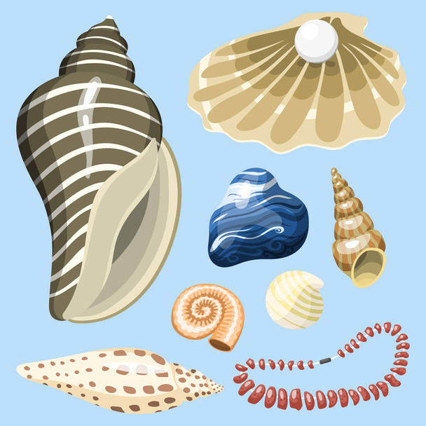 Sea marine animals and shells souvenirs cartoon vector illustration spiral tropical mollusk mussel decoration - Vector, imagen