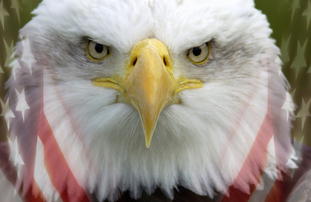 Stany Zjednoczone Ameryki - patriotyzm - Zdjęcie, obraz