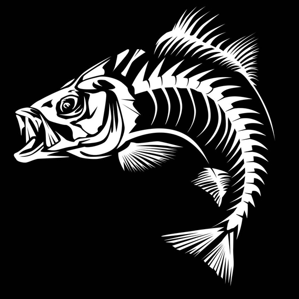 Bass skeleton isolated on black - Vector, Image