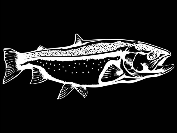 Pesce salmone isolato su sfondo nero
 - Vettoriali, immagini