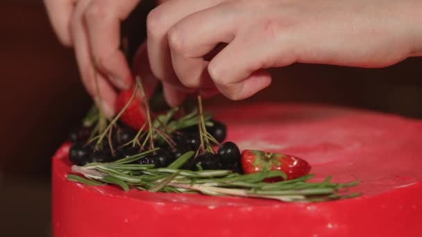 κοντινό πλάνο του κέικ, που είναι διακοσμημένη με φράουλες, ερυθρελάτης κλαδιά - Πλάνα, βίντεο