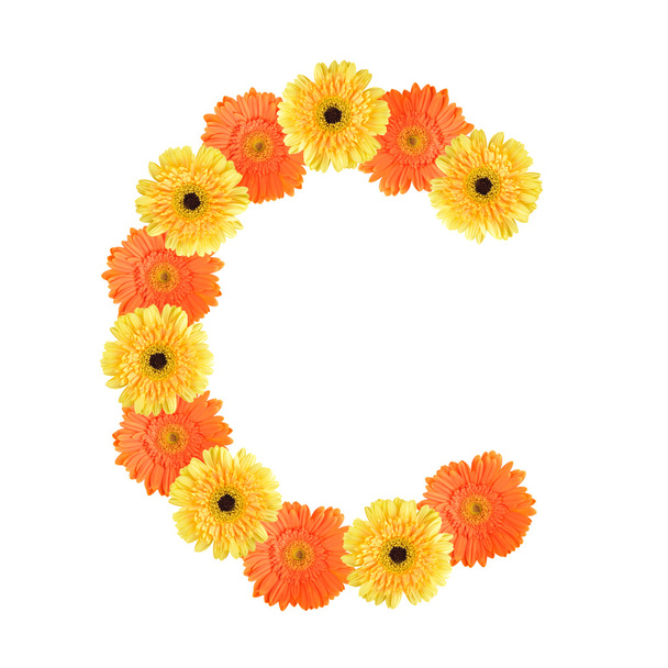 Алфавіт C створено за квітами
 - Фото, зображення