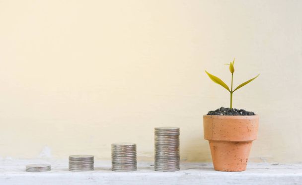 Crescere pile di monete e piante in crescita per il concetto di risparmio di denaro
 - Foto, immagini