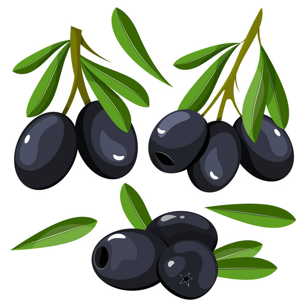 Set of backgrounds with green and black olives. Vector illustration. - Вектор,изображение