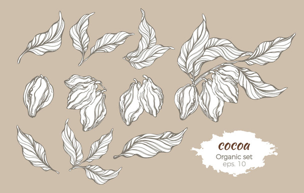 Vector set of cocoa tree branches - Vector, Image
