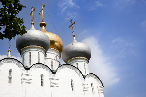 Новодевичий монастырь
 - Фото, изображение