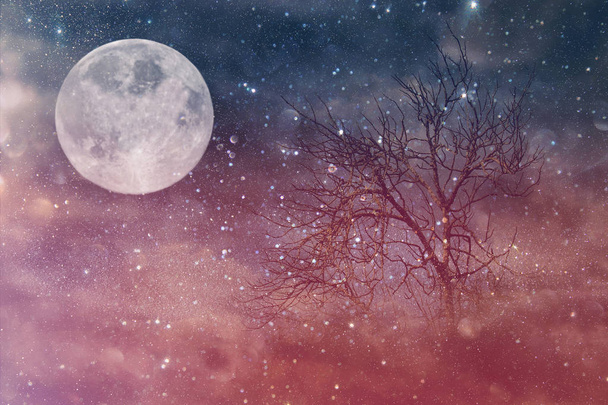 Szürreális fantasy koncepció - magányos fa a csupasz ágak és telihold csillagok csillogó éjszakai égbolt háttérben. Vintage stílusú szűrt kép - Fotó, kép
