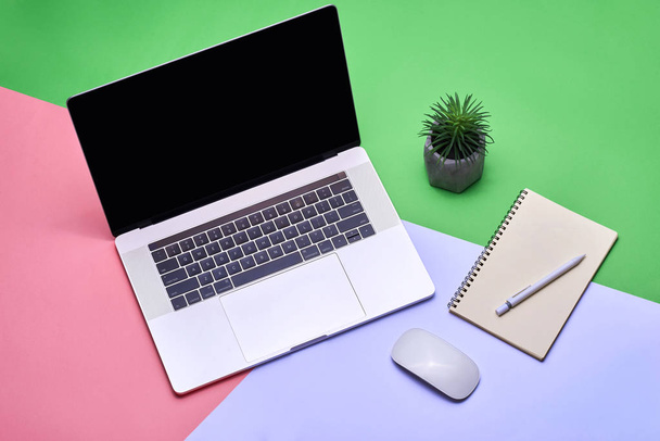 Open laptop with notebook, pen and plant in pot on color background - Photo, Image