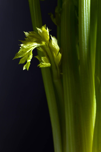 Fresh organic celery on a black background.  - Φωτογραφία, εικόνα