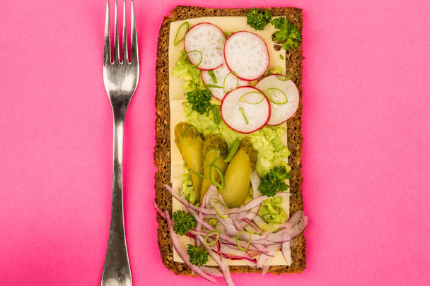 Vegetarian Avocado and Cheese With Radishes and Gherkins Rye Bread Sandwich - Фото, изображение