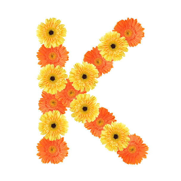 Alphabet K created by flower - Foto, imagen