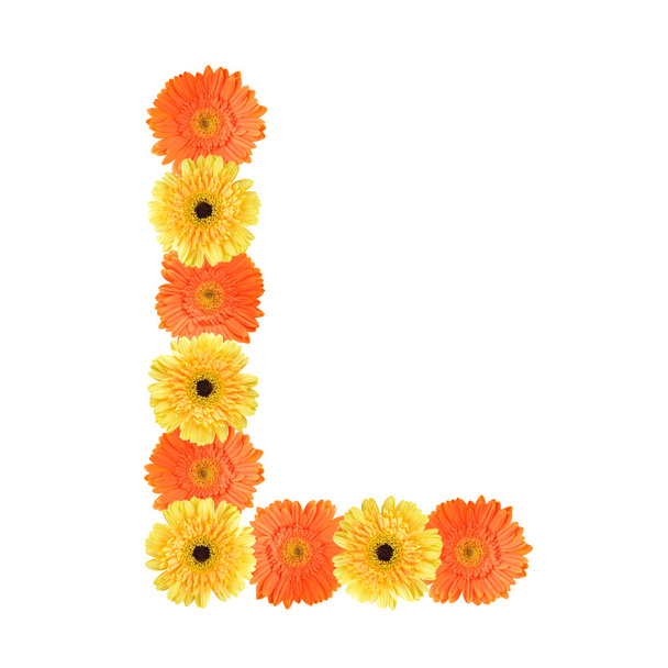 Alphabet L created by flower - Photo, Image