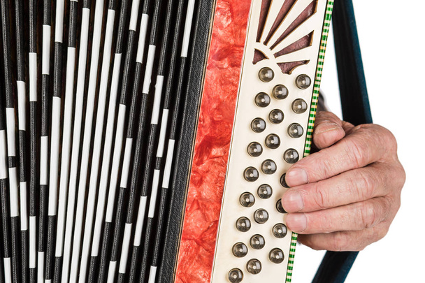 Zenész kézzel játszik Vértes tangóharmonika. elszigetelt fehér fonákkal - Fotó, kép