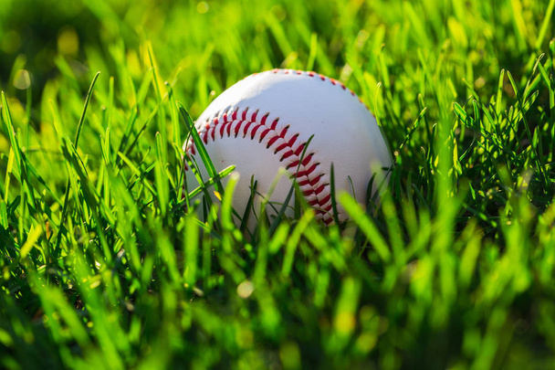 Close up Side of Baseball Ball on Grass Field - Valokuva, kuva