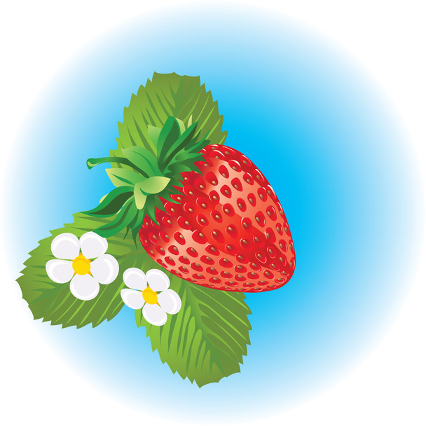 Strawberry - Vektor, kép