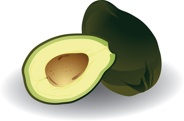 avocado - Vector, afbeelding