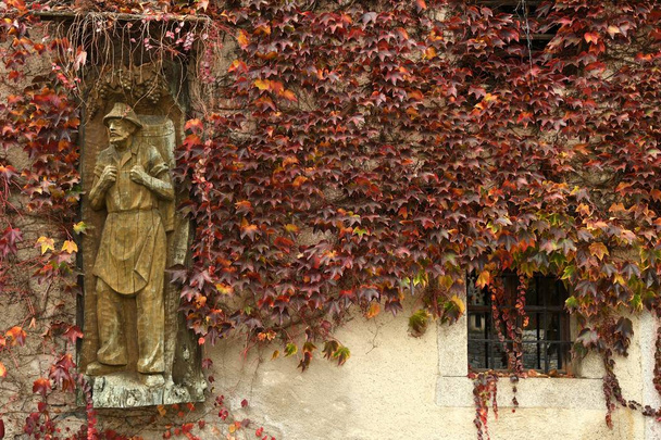 赤は、Novacella 修道院、南チロルのブレッサノーネ、イタリアに出発します。ヴァルナ (ボルツァーノ)、ブレッサノーネのすぐ近くの自治体の Novacella (ドイツ語でアウガスティーナ Chorherrenstift ノイシュティフト) のアウグスティノ会の修道院。イタリア.  - 写真・画像