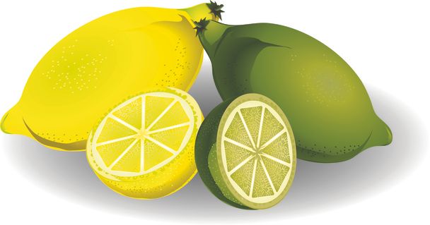 Zitrone & Limette - Vektor, Bild