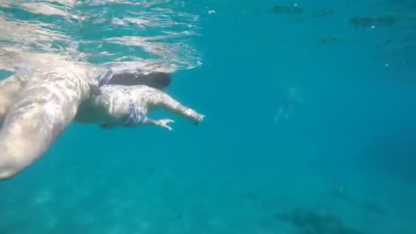 Lány úszás és búvárkodás a tengerparton türkiz vizek, lassú - Felvétel, videó