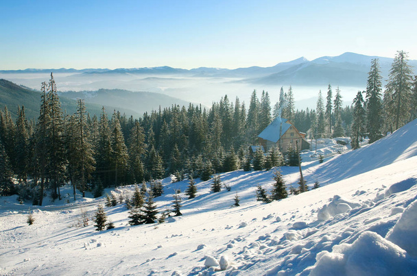 Morning winter landscape in mountains, snow forest on sky - Photo, Image