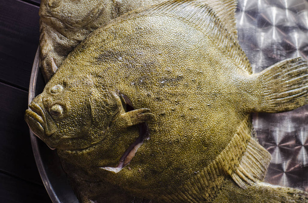 魚を生のヒラメ - 写真・画像