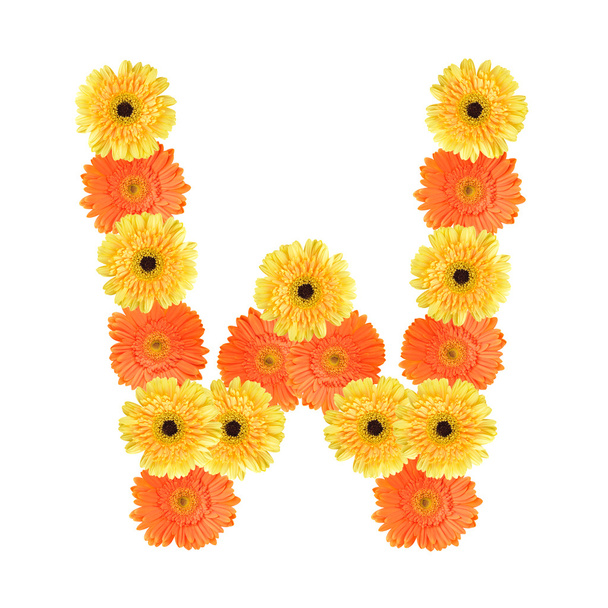 Alfabeto W criado por flor
 - Foto, Imagem