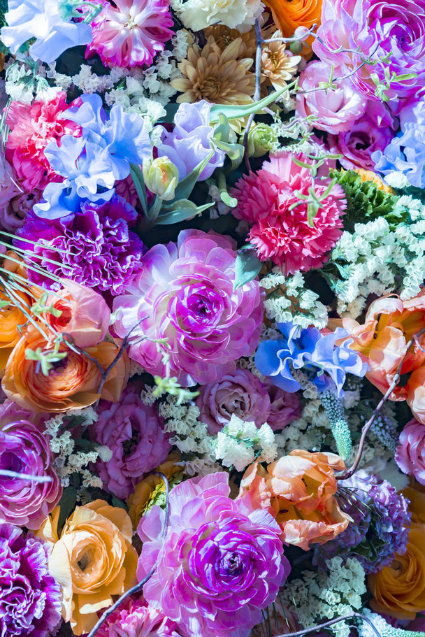 Hermosas paredes de flores de colores
 - Foto, Imagen