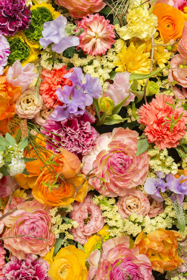 Hermosas paredes de flores de colores
 - Foto, imagen