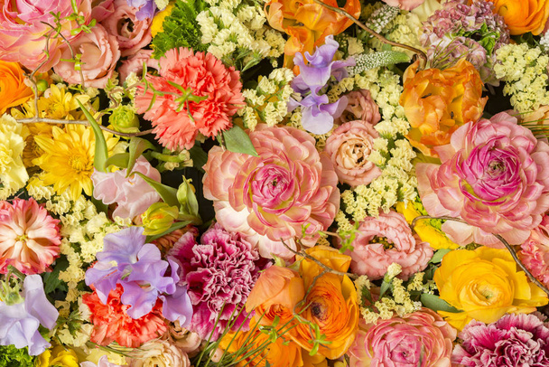 Krásné květinové stěny barevné - Fotografie, Obrázek
