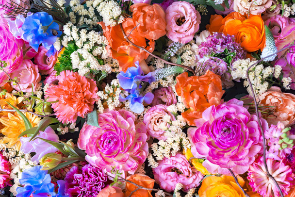 Lindas paredes de flores coloridas
 - Foto, Imagem