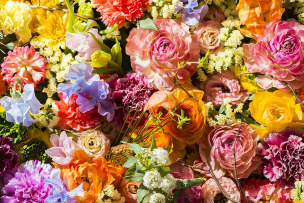 schöne Blumenwände aus farbenfrohen - Foto, Bild