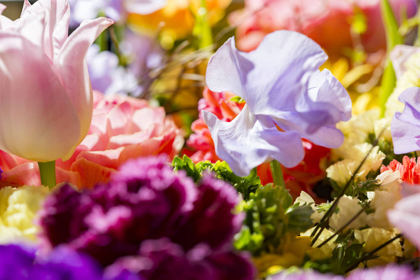 Красиві квіткові стіни барвистих
 - Фото, зображення