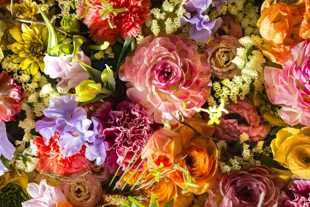 Beaux murs de fleurs de coloré
 - Photo, image