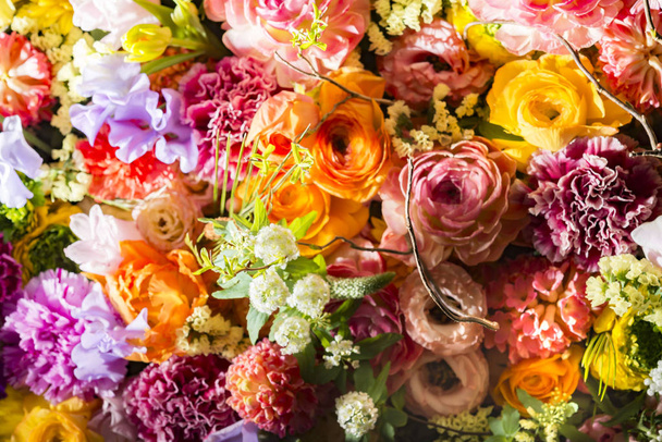 Όμορφο λουλούδι τοίχους πολύχρωμο - Φωτογραφία, εικόνα