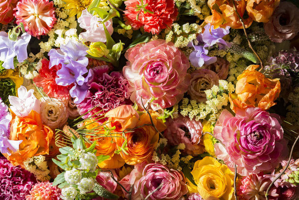 Όμορφο λουλούδι τοίχους πολύχρωμο - Φωτογραφία, εικόνα