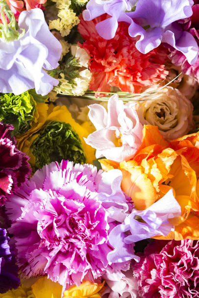 Hermosas paredes de flores de colores
 - Foto, Imagen