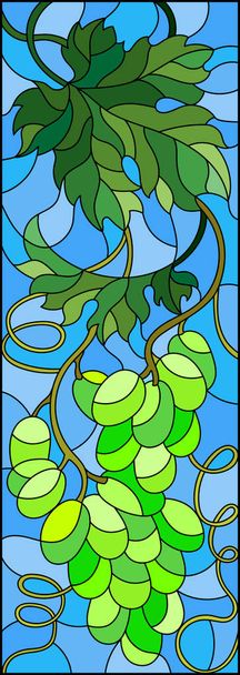 De afbeelding in gebrandschilderd glas stijl schilderij met een heleboel groene druiven en bladeren op blauwe achtergrond, verticale afbeelding - Vector, afbeelding