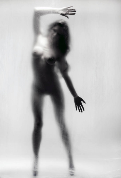 Silhouette of a naked woman - Zdjęcie, obraz