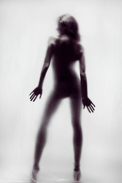 Silhouette of a naked woman - Photo, image
