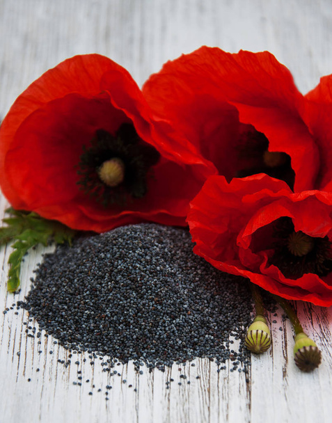 Poppy seeds and flowers - Photo, Image