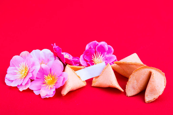 Μπισκότα τύχης με δαμάσκηνο άνθος λουλούδια σε κόκκινο φόντο - Φωτογραφία, εικόνα