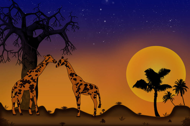 Two giraffe in a hot african landscape with a setting sun.Giraffes on a beautiful sunset background - Fotografie, Obrázek