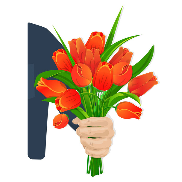 Scarlet tulips in hand - Vector, Image