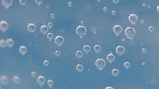 Oxygen bubbles on glass. Selective focus on with shallow depth of field. - Footage, Video