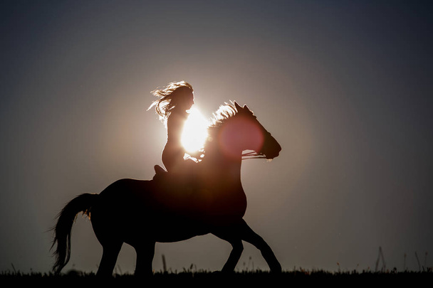 Silhouette equestrian riding a horse on sunset - Fotografie, Obrázek