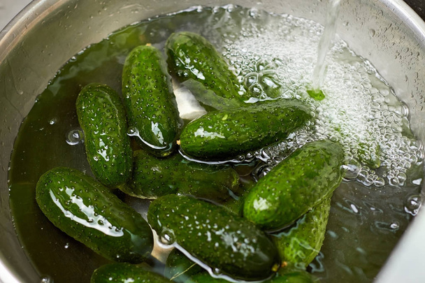 Green cucumbers in a basin of water, close up. - Photo, Image